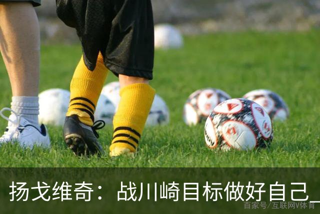 扬戈维奇：战川崎目标做好自己 希望小伙子放开踢